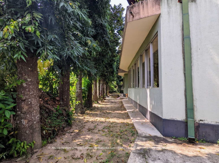 Land for Sale in Nugegoda