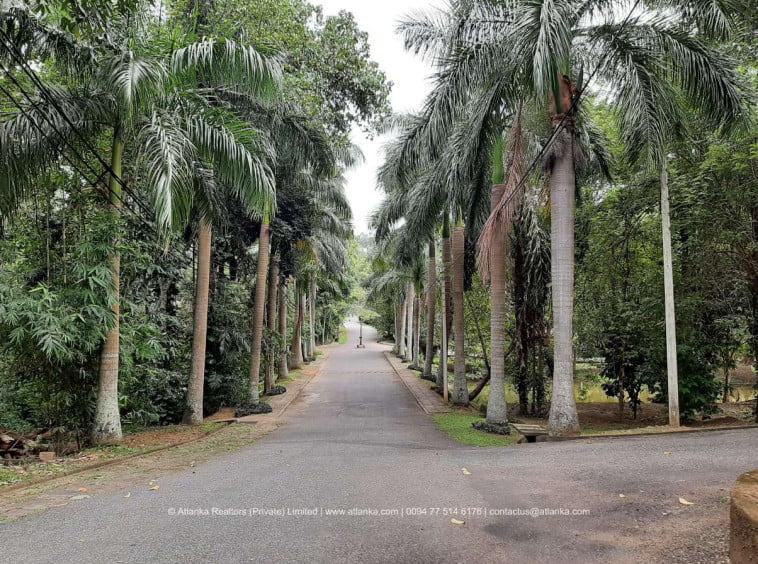 House For Sale In Victoria Range Bungalows