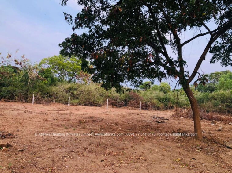 Land for Sale in Hambantota District