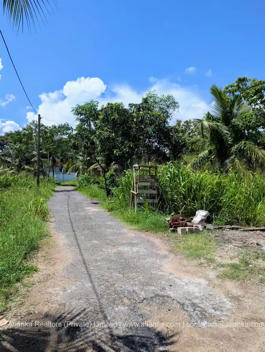 Lands for Sale on Kotte Road