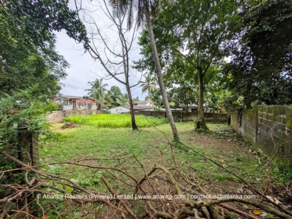 Land for Sale in Piliyandala Town