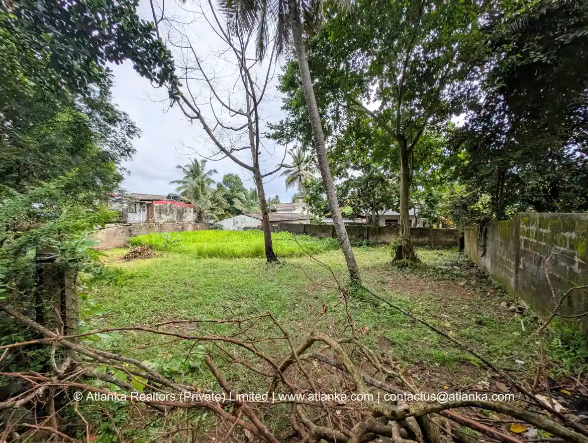 Land for Sale in Piliyandala Town